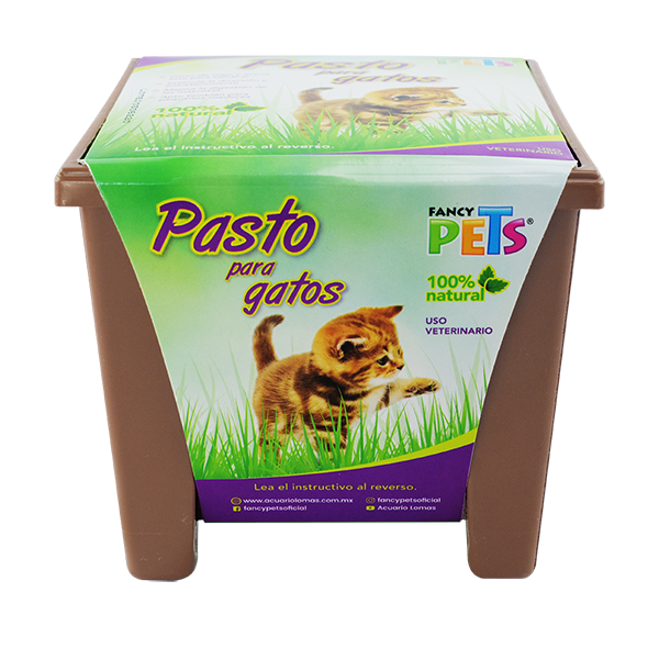 Pasto Para Gatos Fancy Pets Pasto Para Gatos Fancy Pets